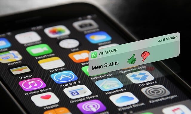 RandevuYeri ile WhatsApp Bildirimleri Göndermek