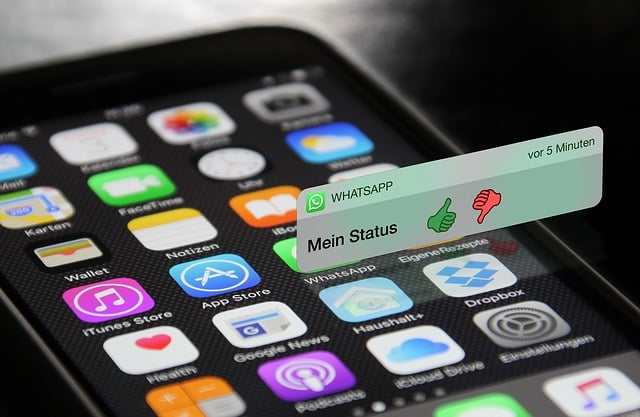 RandevuYeri ile WhatsApp Bildirimleri Göndermek